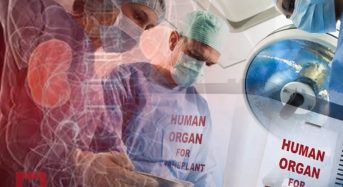 Помогите остановить незаконную трансплантацию органов! Подпишите петицию!
