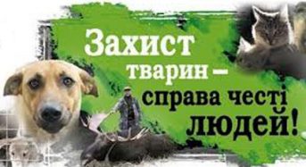 У Переяславі-Хмельницькому розпочала свою роботу громадська організація «Захист тварин Переяславщини»