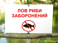 На Київщині розпочалась нерестова заборона на вилов водних біоресурсів