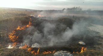 За минулу добу рятувальники Київщини ліквідували 52 загорання трав’яного настилу
