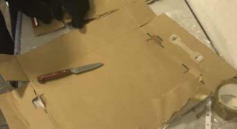 У пункті пропуску «Бориспіль» виявлено контрабанду 5 кг кокаїну з Південної Америки