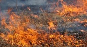 Експрес інформація по пожежах та загиблих в області