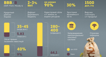 Аудит держави. Як Україні збільшити свої доходи?