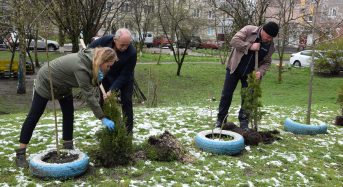 У Переяславі висадили алею дерев на честь 35 сіл, постраждалих від Чорнобиля (Фоторепортаж)