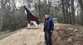 Біля Діброви знову з’явилася скульптура оленя