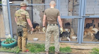 Притулок для собак у Переяславі продовжать будувати. Коштами допоміг київський благодійний фонд