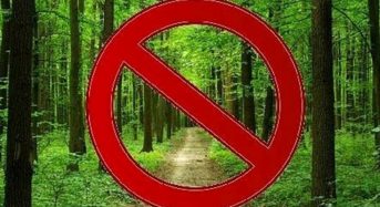 На Бориспільщині закриють дороги до лісу