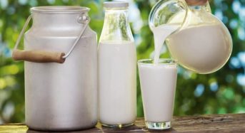 Падіння виробництва молока: що буде з цінами