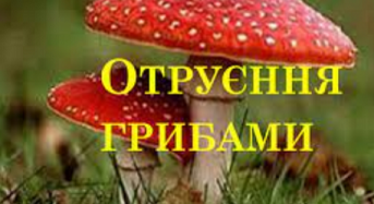 Отруєння грибами – найбільш важке харчове отруєння!!!!!!