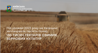 Під урожай 2023 року на Київщині запланували посіяти понад 130 тисяч гектарів озимих зернових культур