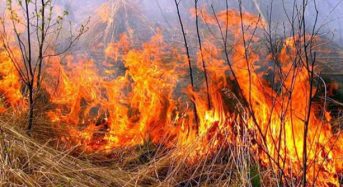 Увага! В Україні посилена відповідальність за самовільне випалювання сухої рослинності та її залишків