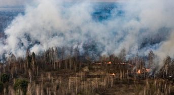 Сезон пожеж в екосистемах розпочався: тепер ще небезпечніше