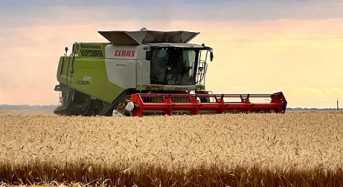 На Київщині вже намолотили понад 200 тисяч тонн зерна нового врожаю