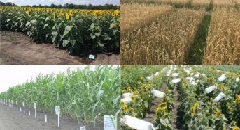 Зміни при ввезенні в Україну зразків насіння і садівного матеріалу сортів рослин для селекційних, дослідних робіт та експонування 
