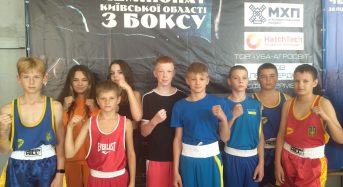 У чемпіонаті Київської області з боксу гідно себе представили переяславські боксери