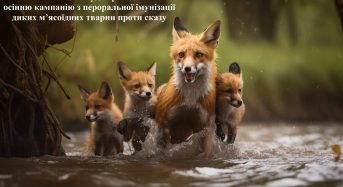 На Київщині буде проведено осінню кампанію з пероральної імунізації диких м’ясоїдних тварин проти сказу