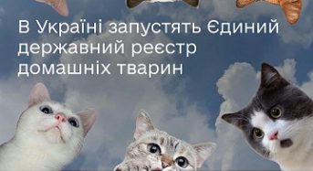 В Україні запустять Єдиний державний реєстр домашніх тварин, який стане основою для створення цифрових ветеринарних паспортів
