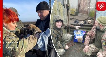 Військові годують покинутих тварин «на нулі», тому просять переяславських волонтерів привозити їм корм