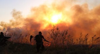 Україна у вогні. Чому ситуація з пожежами погіршується?