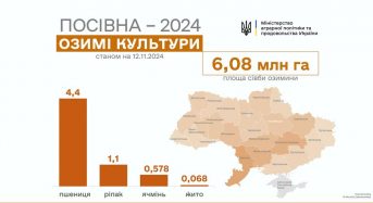 Українські аграрії вже засіяли 96% озимих культур від прогнозованих площ