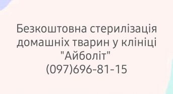 У Переяславі діє безкоштовна стерилізація тварин