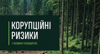 Дослідження НАЗК «Корупційні ризики у лісовому господарстві»-2025