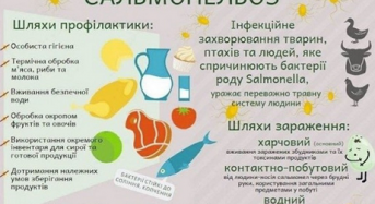 Що треба знати про сальмонельоз