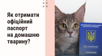 Як отримати офіційний паспорт на домашню тварину?