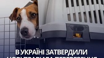 В Україні вперше затверджено єдині правила перевезення тварин в автобусах