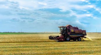 Посуха, сарана і ракети: чи буде Україна з зерном у 2025 році?