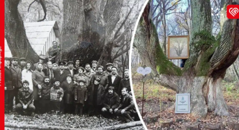 Дуби-велетні, козацька галявина, рукотворні ставки: Ташанський парк – зелений скарб Переяславщини, що чекає порятунку