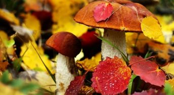 24 вересня: церковне свято сьогодні, що не можна робити, щоб гроші не пішли з дому