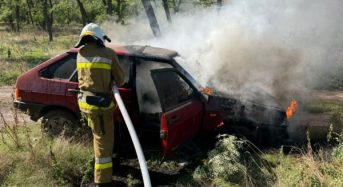 Майже 2000 смертей на дорогах цього року: що найчастіше призводить до ДТП