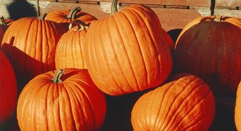 Що приготувати з гарбуза. Шість страв, які зроблять осінь яскравою і смачною