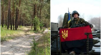 “Ліс повинен служити громаді – і для відпочинку, і як джерело деревини”: інтерв’ю директора “Лісів Переяславщини” Віктора Шарапки