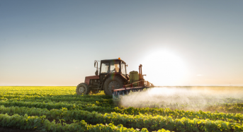 Служба зайнятості: Як жінкам потрапити на навчання за експериментальним проектом?