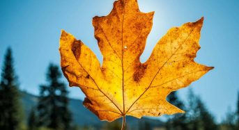 Яке сьогодні, 19 вересня, свято — все про цей день, яке церковне свято, що не можна робити