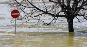 Потопи в Україні траплятимуться все частіше: експертка попередила про небезпеку