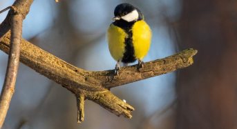 30 жовтня: церковне свято сьогодні, яка прикмета дня обіцяє удачу до кінця року