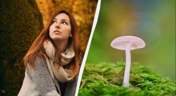 Одна сувора заборона для жінок: що потрібно знати про свято 17 жовтня 2025