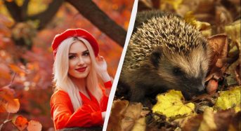 Сьогодні вітаємо військових: яке свято в Україні 29 жовтня 2025 року