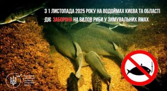 Увага! З 1 листопада 2025 року розпочинається осінньо-зимова заборона на вилов риби у зимувальних ямах