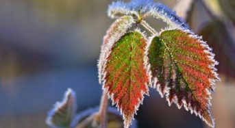 І рівень небезпечності, жовтий – Попередження про небезпечні  метеорологічні явища в Київській області