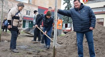 Моніторинговий візит: як реалізуються права нацменшин на місцевому рівні