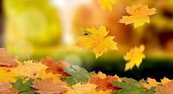 Яке сьогодні, 20 жовтня, свято — все про цей день, яке церковне свято, що не можна робити