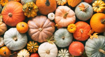 Яке сьогодні, 24 жовтня, свято — все про цей день, яке церковне свято, що не можна робити