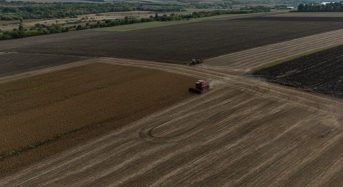 Озимина не сходить, врожай – під загрозою: де і якого лиха наробила погода в жовтні