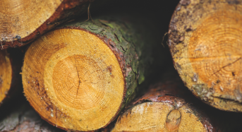 Субсидія на придбання дров і твердого палива: що варто знати