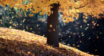 Яке сьогодні, 13 листопада, свято — все про цей день, яке церковне свято, що не можна робити