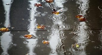 11 листопада Україну заллють сильні дощі